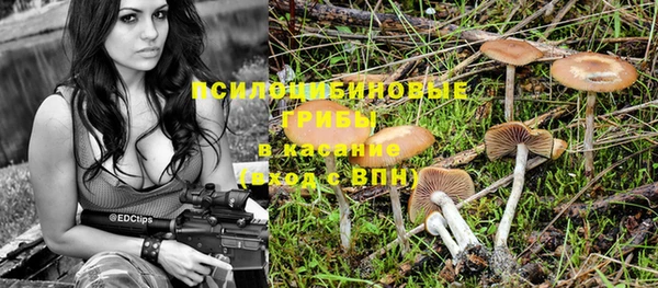 бошки Баксан