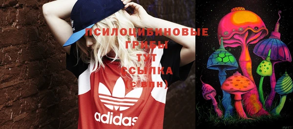 бошки Баксан